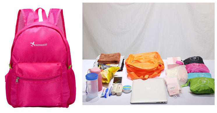 Travel Ease Foldable Bag