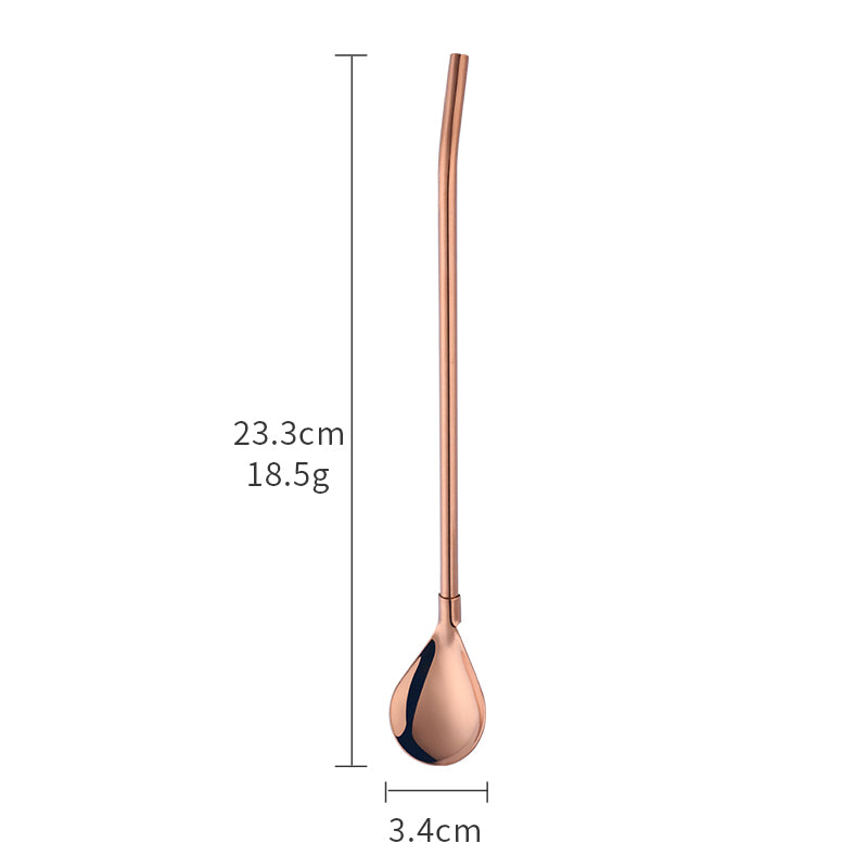 EverSteel Metal Straw