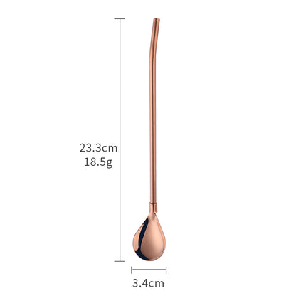 EverSteel Metal Straw